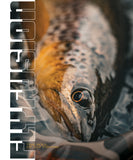 Volume 21, Issue 3 (Summer 2024)