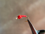 Red Glass Slipper Midge
