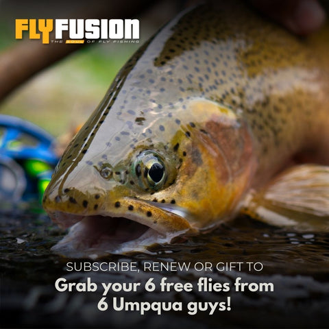 1 Year Subscription & FREE Umpqua flies