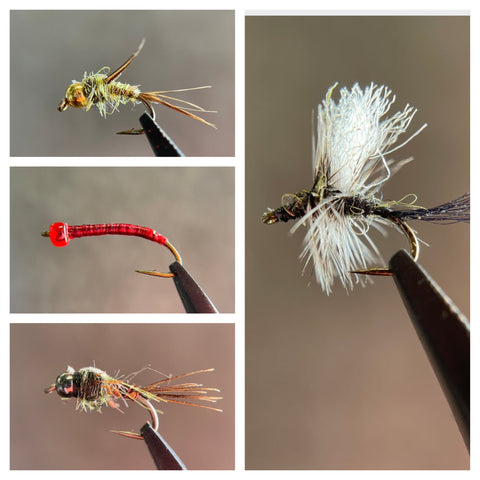 One Dozen Flies - Evil Weevil, Coffee Pheasant Tail, Arizona Dot and Acetate Anchor Worm