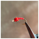 One Dozen Flies - Red Glass Slipper Midge