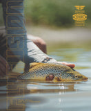 Volume 23, Issue 2 (Spring 2025)
