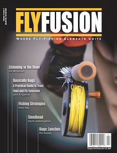 Fly Fusion Volume 4, Issue 4 (Fall 2007)