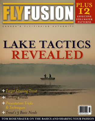 Fly Fusion Volume 7, Issue 3 (Summer 2010)